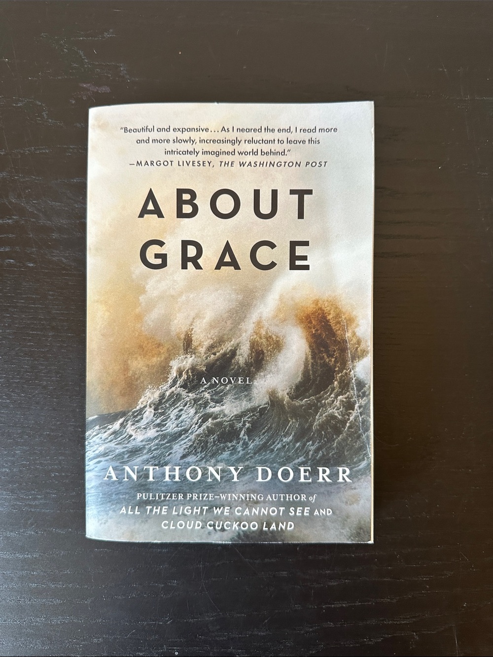 About Grace by Anthony Doerr - Paperback